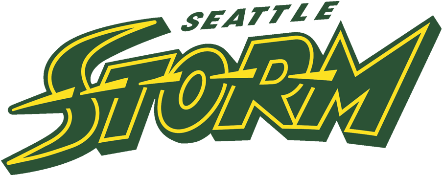 Seattle Storm 2016-Pres Wordmark Logo iron on transfers for T-shirts
